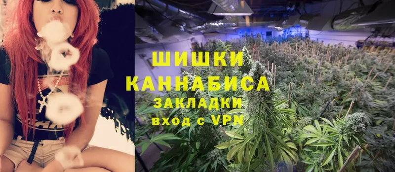 OMG   сайты даркнета официальный сайт  Марихуана SATIVA & INDICA  Лесной 